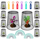Feel Natural garden cloche over a young plant protecting from wildlife