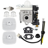 Ferilter PB250 carburetor packaging with included tune-up kit for Echo blower.