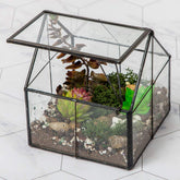 Ferrisland glass terrarium house shape with lid for stylish micro gardens