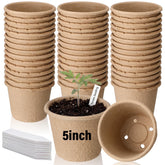 Ferrochef 5-inch seed starter pot with drainage promotes healthy root growth.