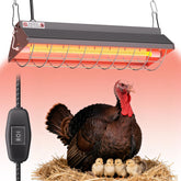 Ficuswin 300W chicken coop heat lamp warming a chicken coop safely