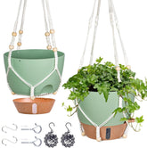 Fielda 10-inch hanging planter with water window for easy moisture monitoring.