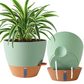 Fielda 2-pack 10-inch self-watering planters with built-in reservoir for hydration.