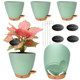 Fielda 6-inch self-watering pot with water window for easy hydration monitoring.