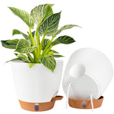 Fielda 8inch self-watering pot front view with white finish for low-maintenance indoor gardening.