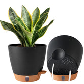 Fielda 8-inch self-watering pot with wick system for low-maintenance indoor plants.