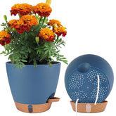 Fielda navy blue 8-inch self-watering planter with water level window for easy monitoring