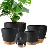 Fielda self-watering 10-inch pot with water level window for easy moisture control