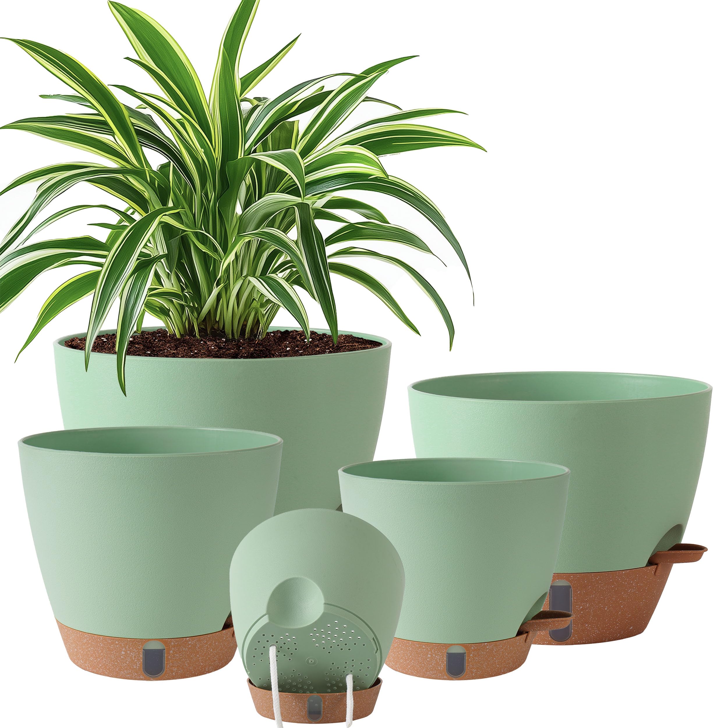 Fielda self-watering 10-inch pot with water level window for easy moisture checks