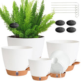 Fielda self-watering pot with visual indicator shows soil moisture at a glance.