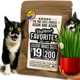 Fiend Cat Grass Seed Favorites pots ready to sprout for indoor cats, fast growth potential.