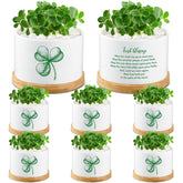 FillTouch mini pot with ceramic clover, ideal for small desk succulents.