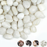 FINIKIS white pebbles 1-2 inch for plant drainage and decorative display.