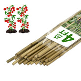 FlaggeZG bamboo stake 25-pack, 4ft length, ideal for garden plant support.