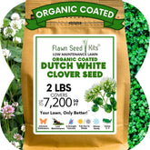 Flawn Seed White Dutch Clover Seeds ready to plant for an organic lawn transformation.