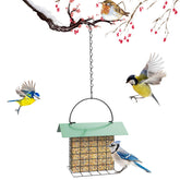 FLINTER Bird Feeder outdoors, chain hanging, inviting woodpeckers and nuthatches to visit.