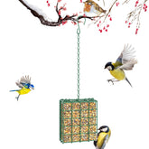 FLINTER bird feeder outdoors in green hangs from a tree for easy viewing.