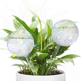 FLORA GUARD RainbowGlass water globe in pot for steady moisture.