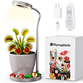 Flytraphicle Venus Fly Trap Terrarium shows moisture balance for thriving plants