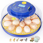 FOFNON egg incubator front view showcases compact home hatchery design.