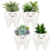 FoldTier tooth-shaped ceramic planter set with four succulent pots for modern office decor.