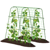 FOLLOOK garden cucumber trellis with 48x48 arch supports climbing plants.