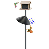 Forever Song squirrel baffle on pole blocks climbs and protects feeders.