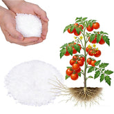 FOVGOTAN Calcium Nitrate granules close-up for quick plant nourishment