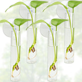 FOWSRHRG propagation station wall vase with suction cup for easy growth observation