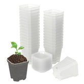 foxany clear nursery pot 3inch square for easy root observation
