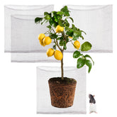 Foyego root guard basket 4-pack ready for garden installation to deter underground pests.