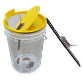 FPXVG bucket lid mouse trap in metal for durable, reusable pest control indoors and outdoors.