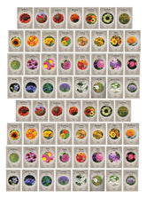 Freedom Farms 62-seed-packets-collection shows a diverse bloom mix for vibrant garden beds.