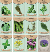 Freedom Farms basil seed pack image, ideal for fresh homegrown flavor in pots