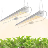 FREELICHT 2-pack grow light with timer for consistent indoor plant care.