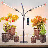 FRGROW 3Head table light with 360° gooseneck for easy positioning and targeted growth.