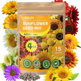 Fruivity sunflower seeds show Giant Mammoth blooms for a dramatic border and pollinator appeal