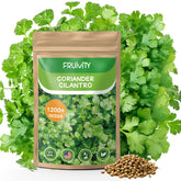 Fruivity cilantro seeds in a resealable bag for indoor or outdoor planting.