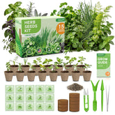 Fruivity herb starter kit contents laid out for easy indoor planting