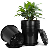 FUIJOL 2 gallon planter with drip tray for clean indoor and outdoor use.