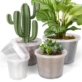 FUIJOL 6-inch clear nursery pot with drainage for healthy seedling growth.