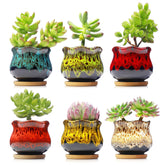 Fulloog cute ceramic planter with drainage hole for healthy watering