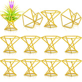 Funrous geometric air plant holder with gold finish, ideal for desk decor.