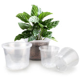 FUOAUYK clear nursery pot 7-inch with transparent walls for easy root monitoring