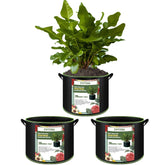 FVOTNW 3-pack 20 gallon grow bags in a versatile outdoor gardening setup.