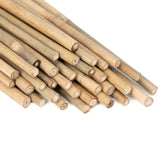 GAGINANG bamboo stake 18in tomato support for straighter growth