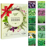 Garden Pack 12 herb seed packets in a box for convenient home gardening.