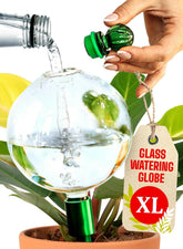 GardenBro premium XL glass watering globe for automatic hydration of indoor plants