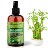 Gardenera Plant Superfood Spray bottle ready to nourish bamboo foliage and support healthy growth.