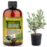 Gardenera Premium olive tree fertilizer bottle boosts indoor olive trees with balanced nutrients.